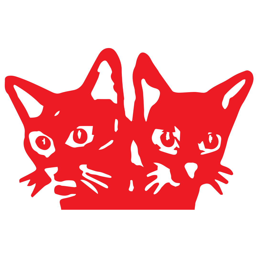 LARRY — the two-headed cat